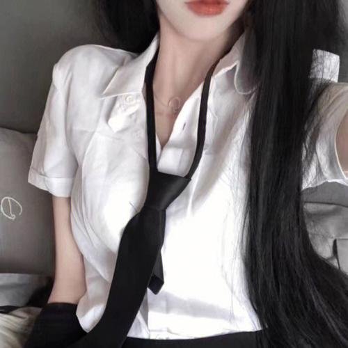 红壳的潘多拉